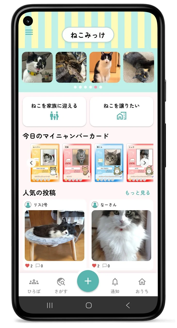 ねこみっけアプリ画面