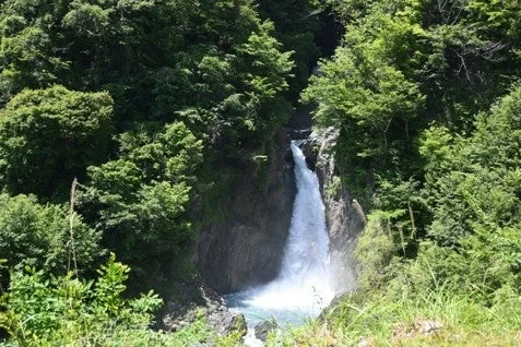 緑豊かな森林に囲まれた勢いよく流れ落ちる滝