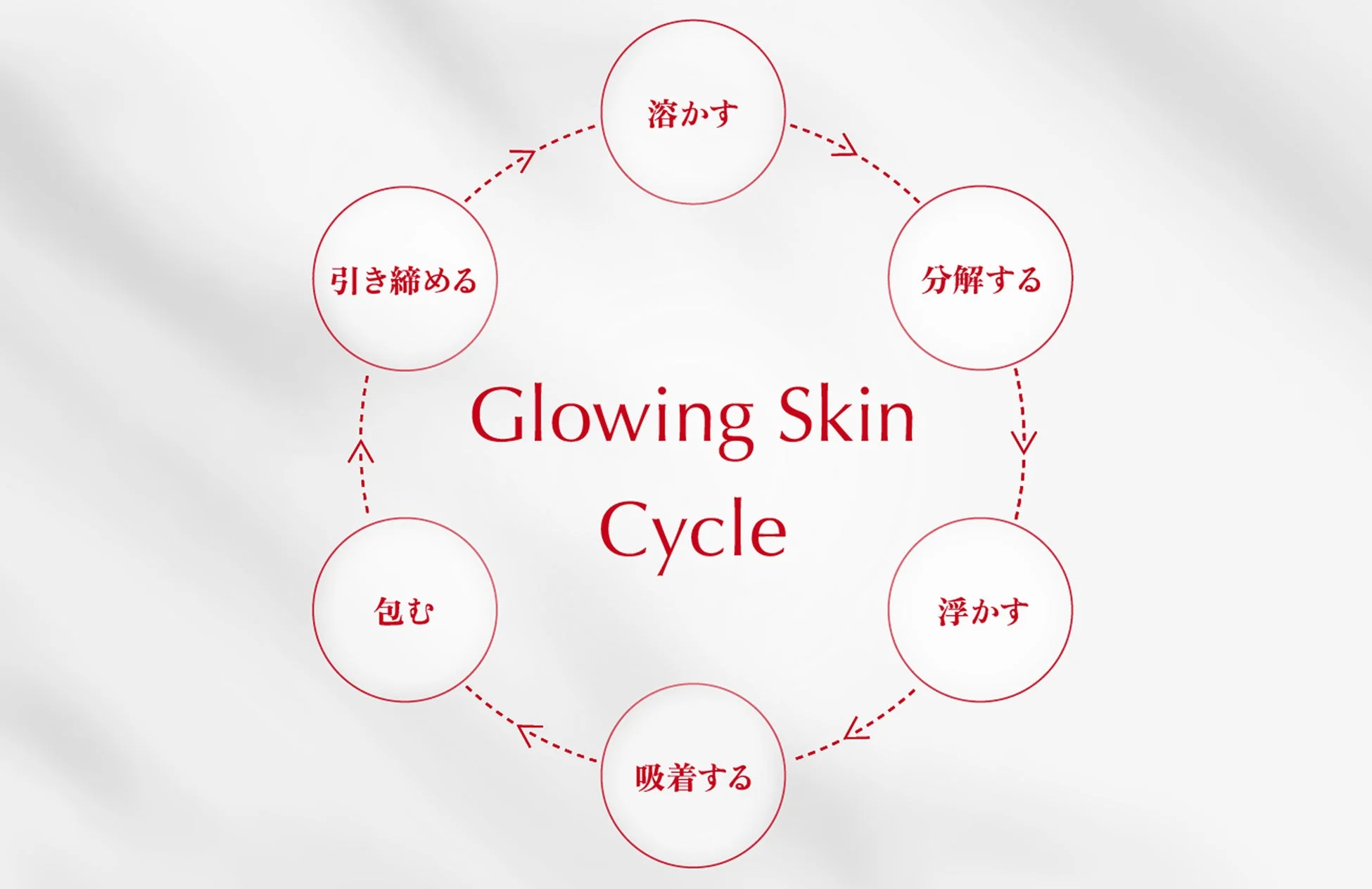 Glowing Skin Cycleの図