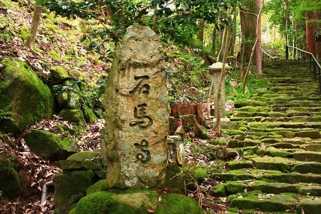 石馬寺の苔むした石段