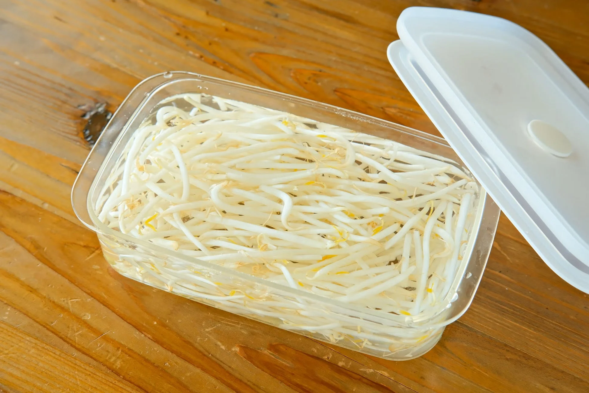もやしの冷蔵保存