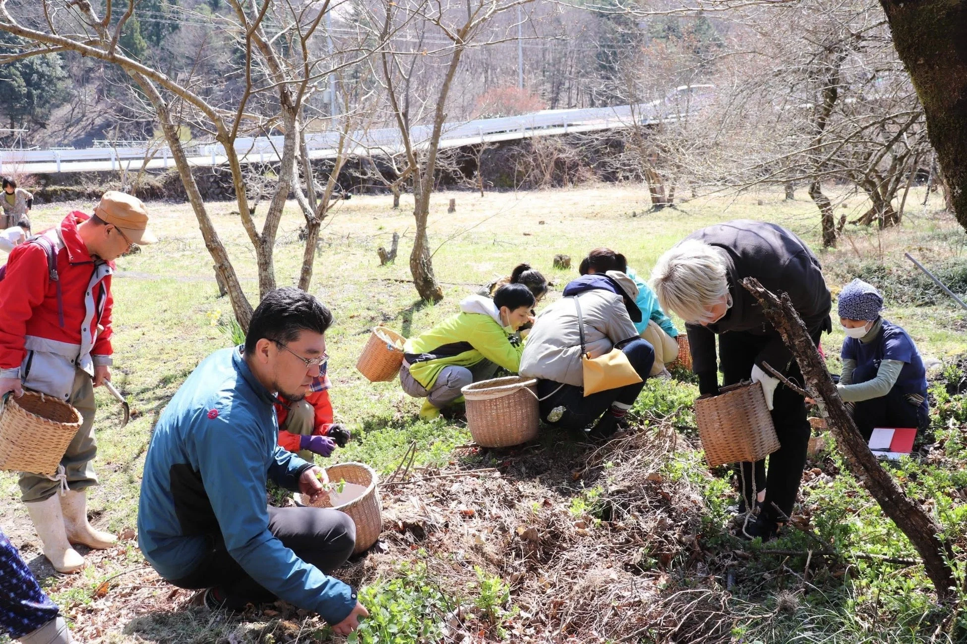 野草を摘む人々