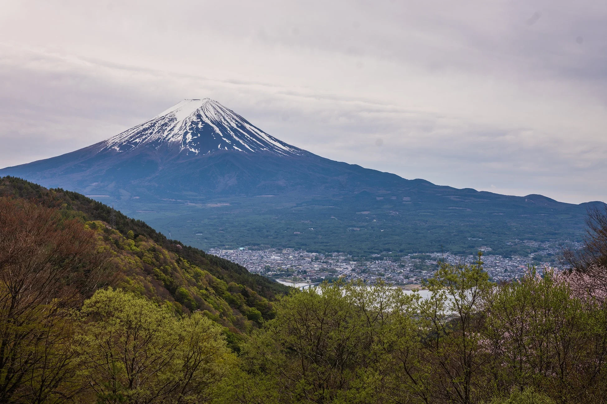 富士山,雪景色,湖,街並み,自然,風景,山,春,新緑,日本