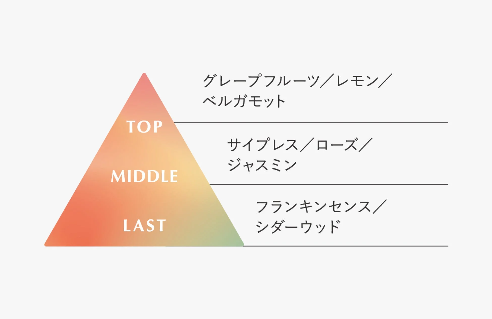 香りの構成