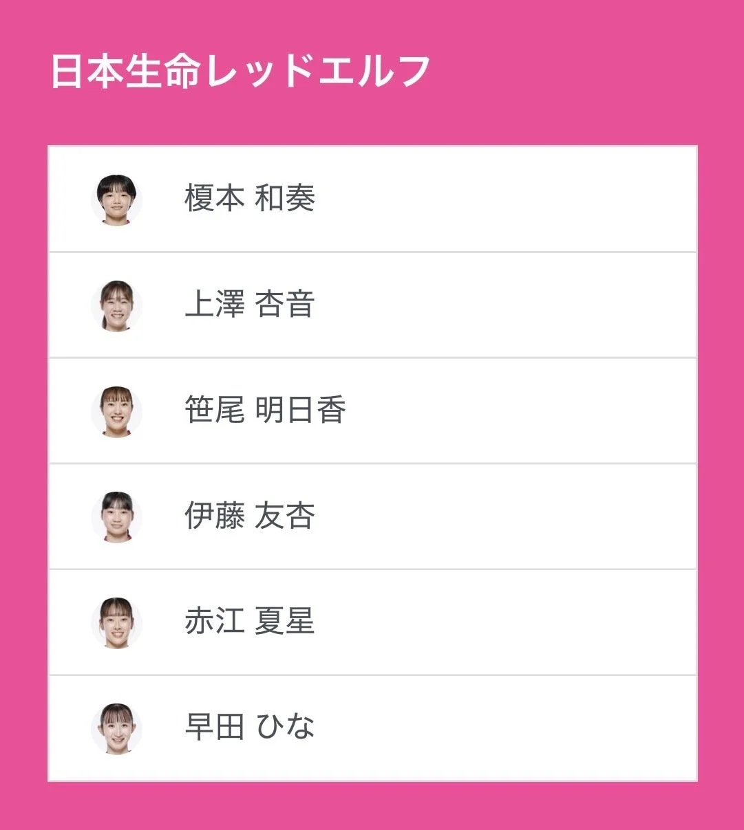 日本生命レッドエルフ 選手リスト