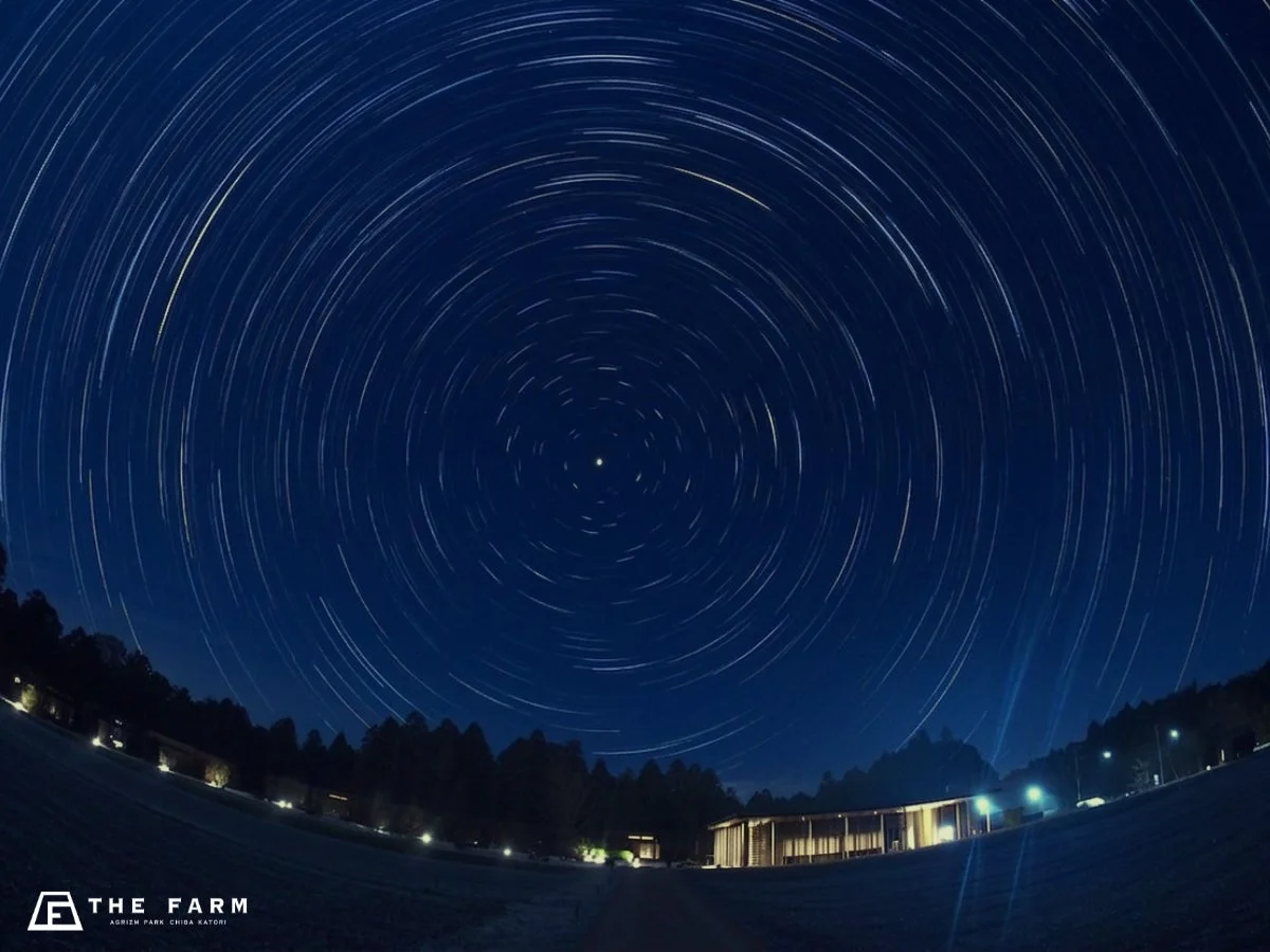 深い青の夜空に星の軌跡が弧を描く美しい星景写真。地上にはライトアップされたモダンな建物と木々が広がり、幻想的な雰囲気を醸し出している。