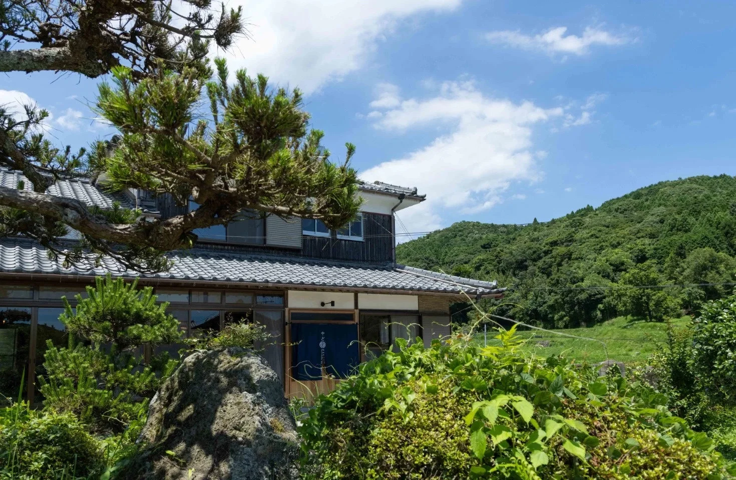 瓦屋根の日本家屋と松の木