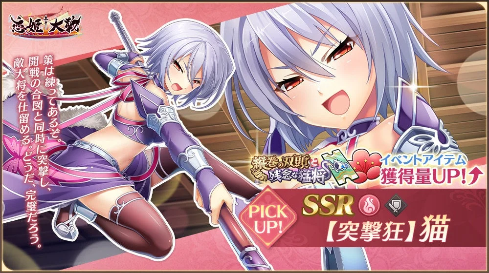 SSR【突撃狂】猫