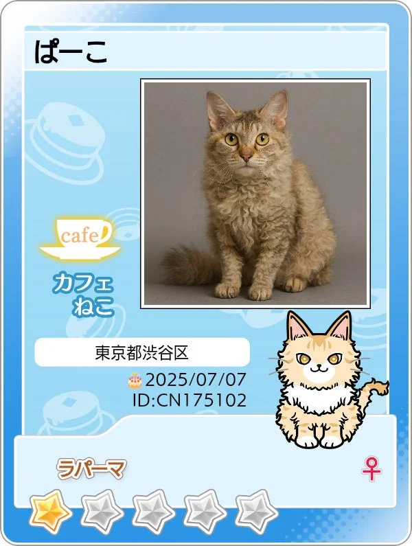 猫カフェのマイニャンバーカード