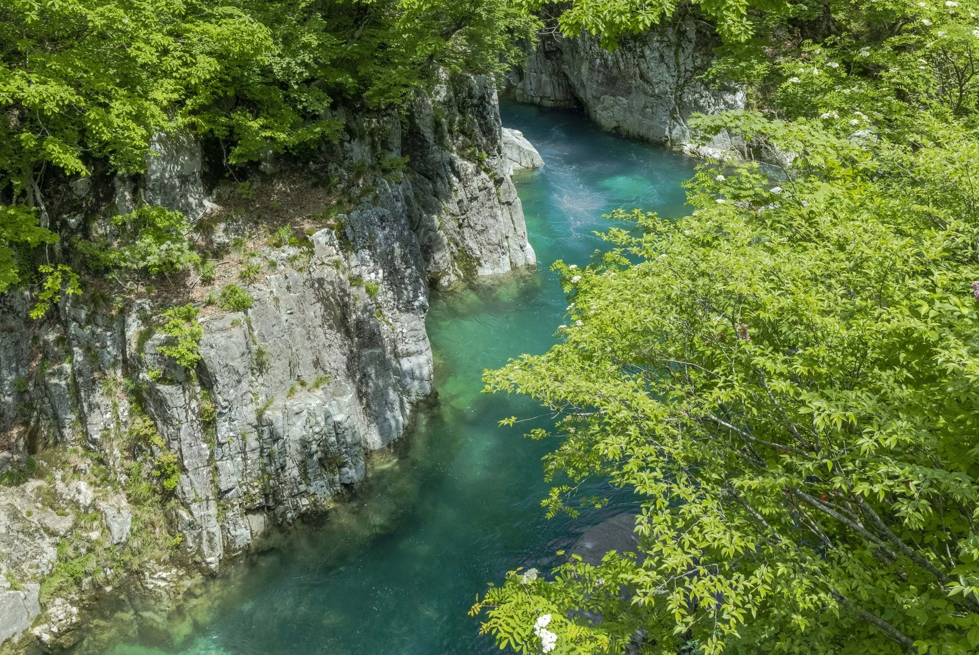 エメラルドグリーンの清流