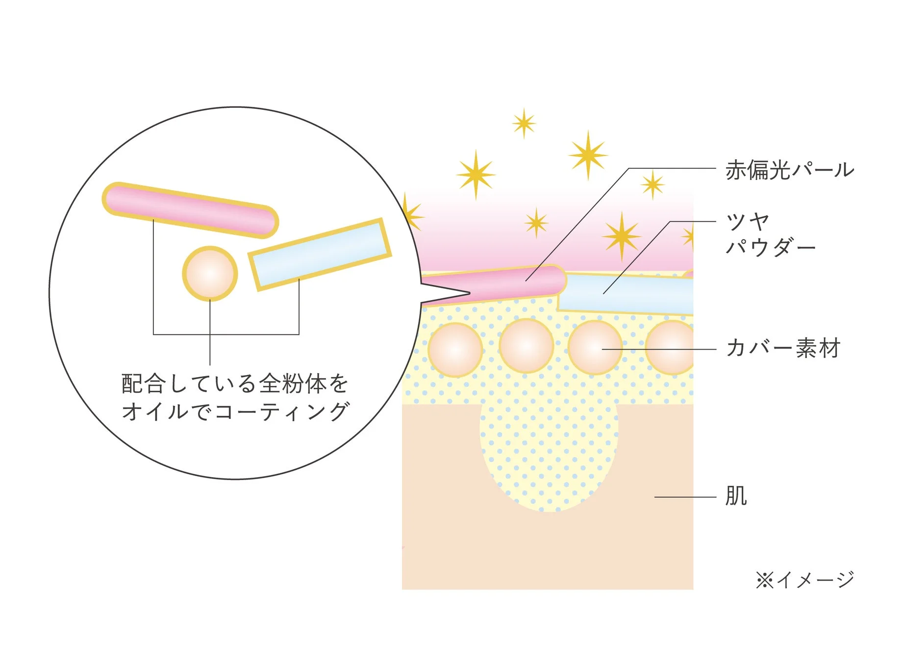 肌に塗布される化粧品の層状構造を示した図です。赤偏光パール、ツヤパウダー、カバー素材が肌表面に配置され、配合されている全粉体がオイルでコーティングされている様子が説明されています