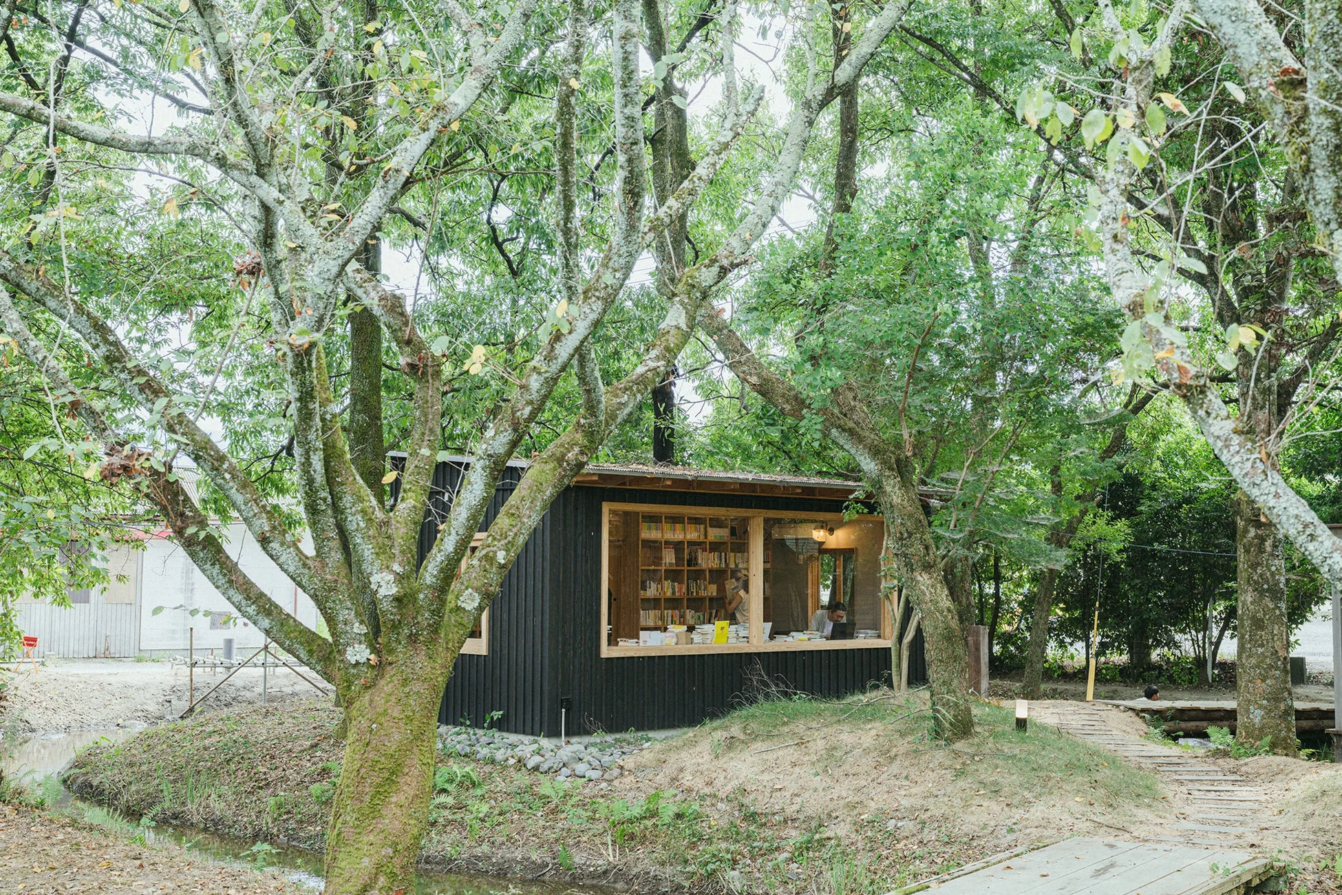 木々に囲まれた小屋のような図書室