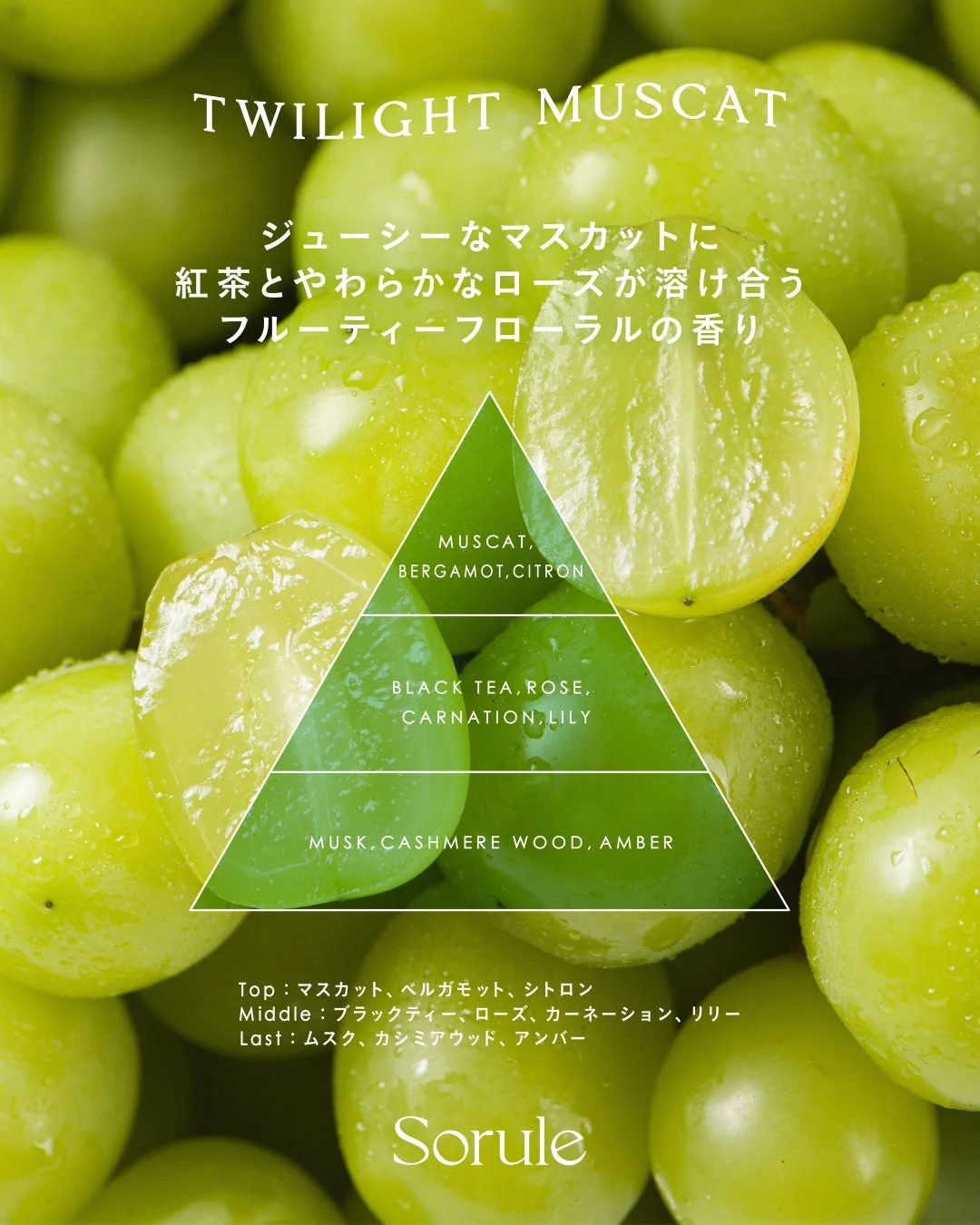 Sorule ソフニングミルク R トワイライトマスカットの香りイメージ