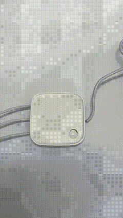 ケーブル交換の様子