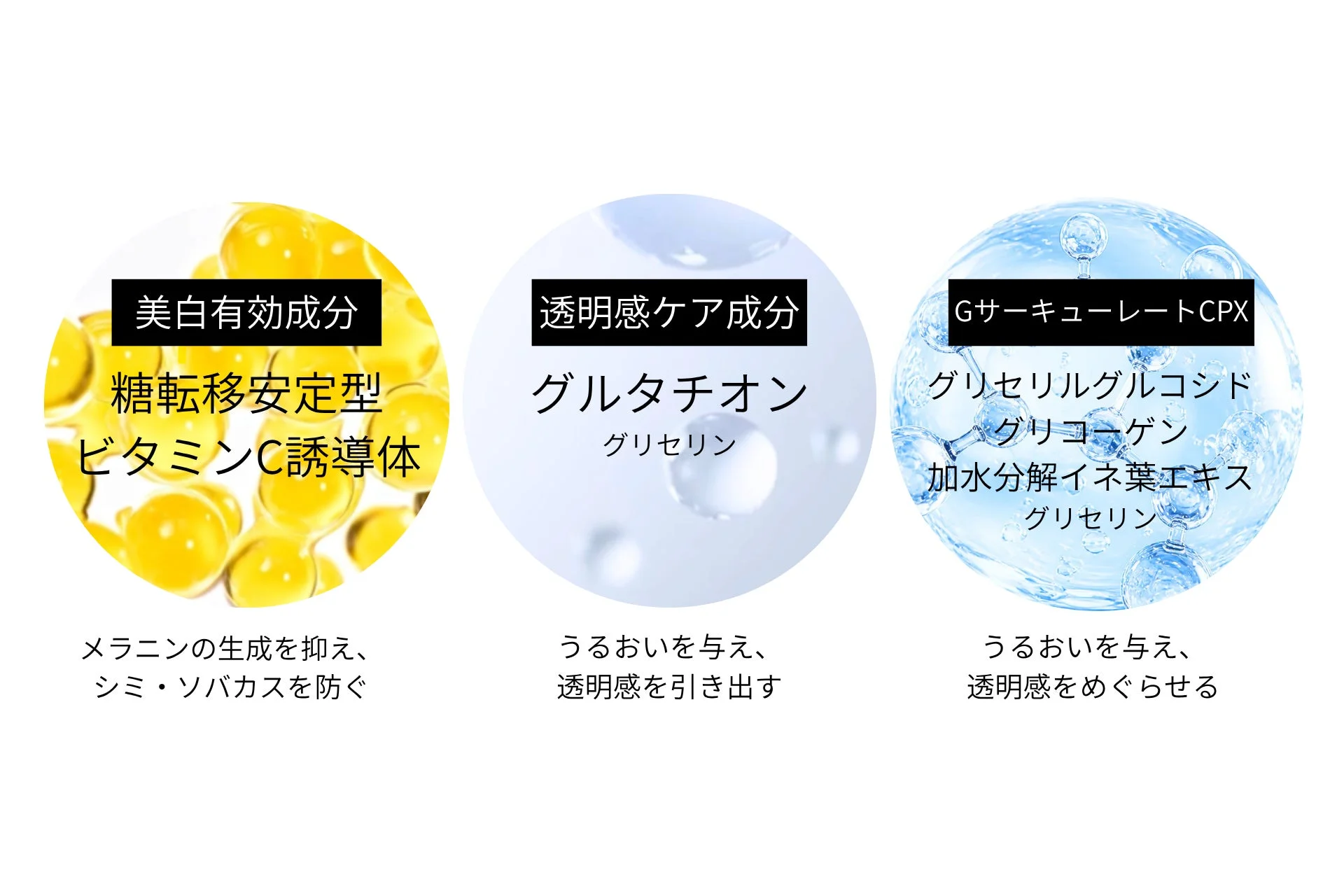 美白、透明感、スキンケア、美容成分、ビタミンC誘導体、グルタチオン、グリセリン、保湿、シミ予防、ソバカス予防、GサーキュレートCPX、グリセリルグルコシド、グリコーゲン、加水分解イネ葉エキス