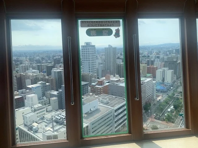 展望台からの都市風景