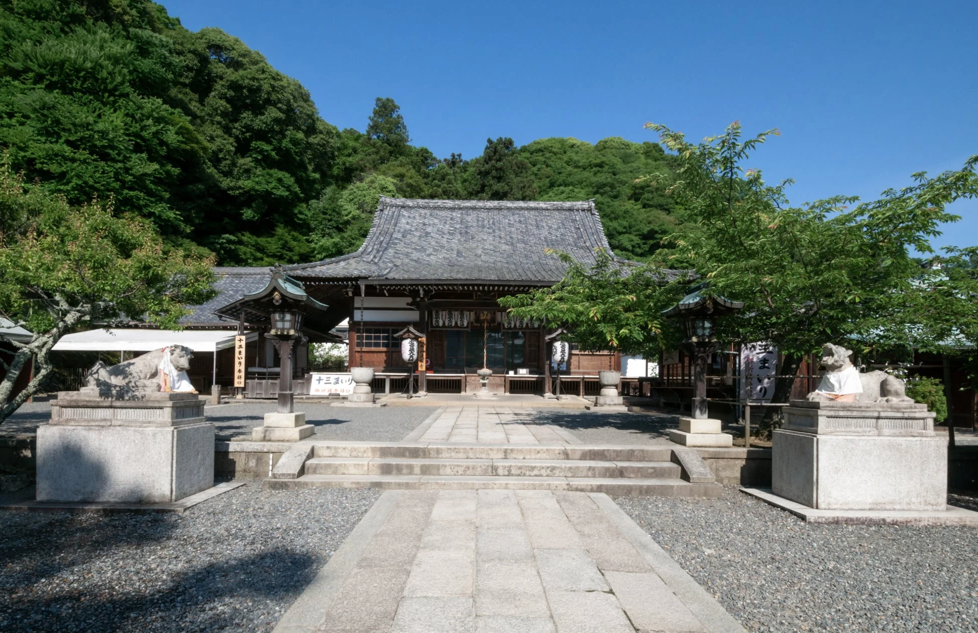 青空の下、緑豊かな山を背景に建つ日本の寺院の風景です。石畳の参道が本堂へと続き、両脇には白いよだれかけをつけた狛犬と石灯籠が配置され、厳かな雰囲気を醸し出しています。