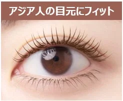 アジア人の目元にフィット