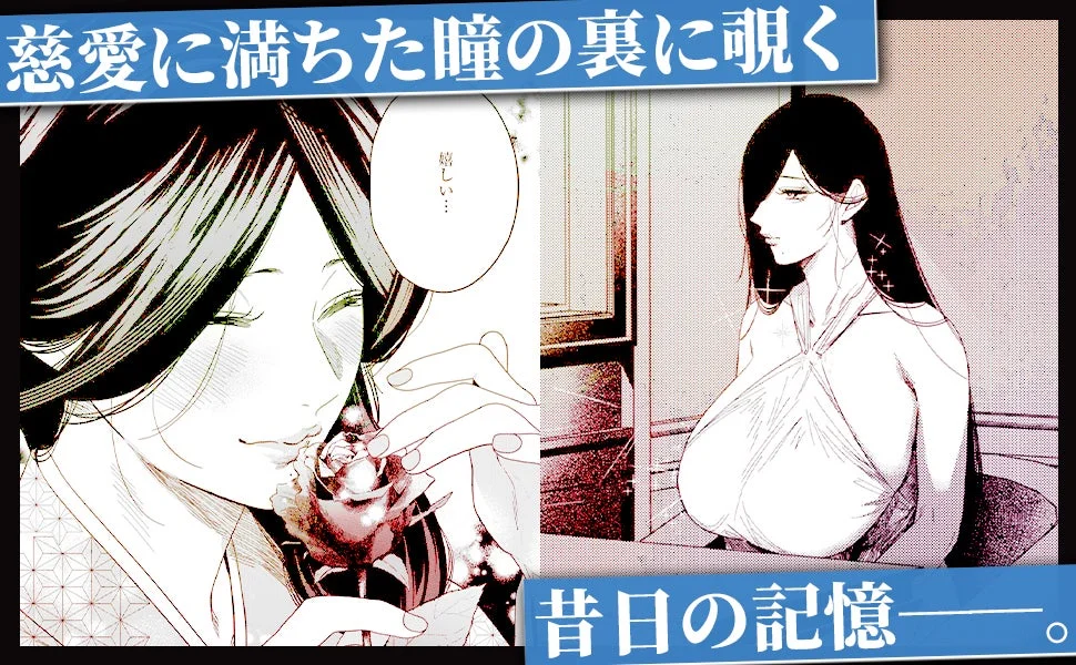 見どころ紹介