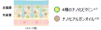 ナノ化技術による高浸透処方
