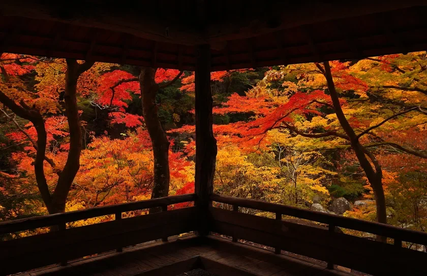 和風建築から見た紅葉